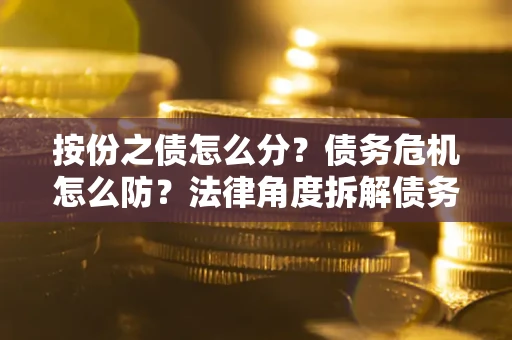 武汉按份之债怎么分？债务危机怎么防？法律角度拆解债务分配与风险自保指南