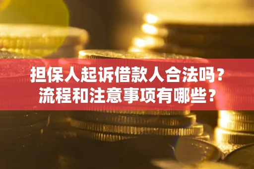 武汉担保人起诉借款人合法吗？流程和注意事项有哪些？