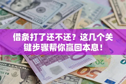 武汉借条打了还不还？这几个关键步骤帮你赢回本息！