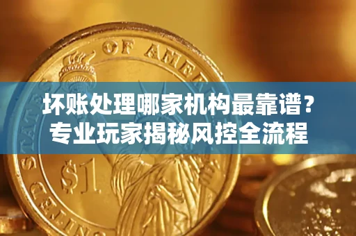 武汉坏账处理哪家机构最靠谱？专业玩家揭秘风控全流程