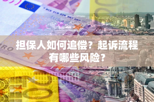 武汉担保人如何追偿？起诉流程有哪些风险？