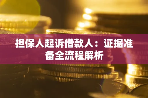 武汉担保人起诉借款人：证据准备全流程解析