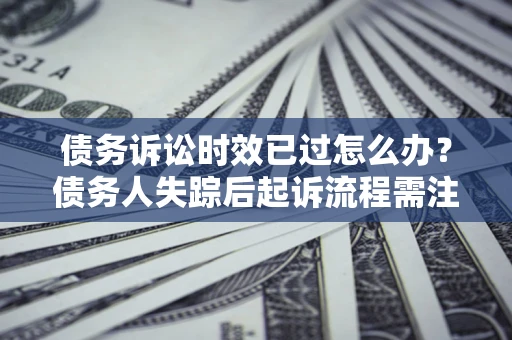 武汉债务诉讼时效已过怎么办？债务人失踪后起诉流程需注意什么？