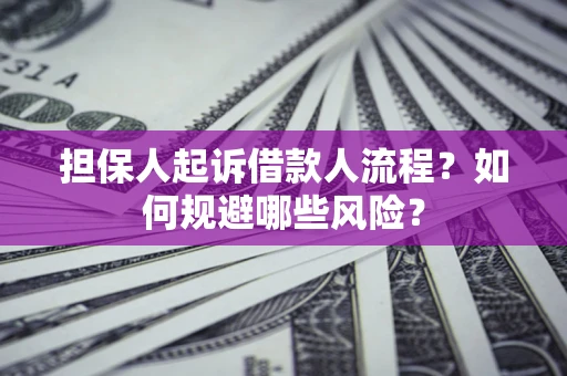 武汉担保人起诉借款人流程？如何规避哪些风险？