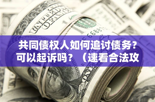 武汉共同债权人如何追讨债务？可以起诉吗？（速看合法攻略）