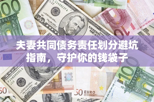 武汉夫妻共同债务责任划分避坑指南，守护你的钱袋子