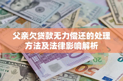 武汉父亲欠贷款无力偿还的处理方法及法律影响解析