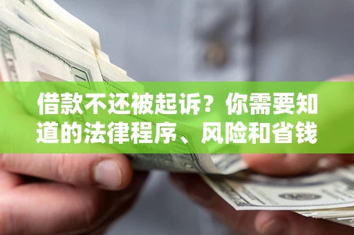 武汉借款不还被起诉？你需要知道的法律程序、风险和省钱技巧