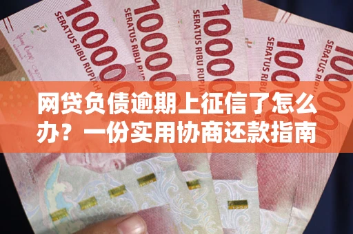 武汉网贷负债逾期上征信了怎么办？一份实用协商还款指南请收好