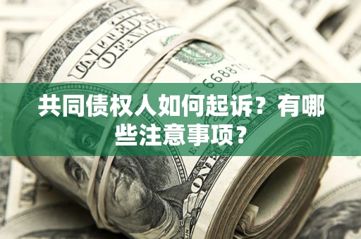武汉共同债权人如何起诉？有哪些注意事项？